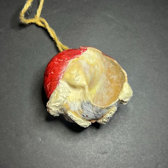 Vintage 1998 Signed Handcrafted Resin Real Nautical Shell Christmas Ornament - Picture 6 of 8